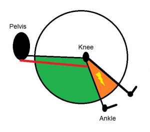fig1