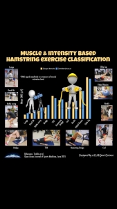 hamstring